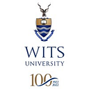 5 Wits logo
