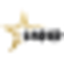 College Station logo