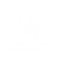 Custom Station logo