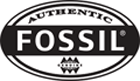 Fossil Outlet logo