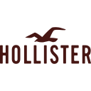 Hollister & Co. logo