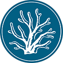 Maui Divers Jewelry logo