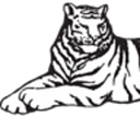 Sleeping Tiger Imports logo